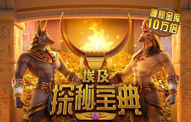 B体育app：B体育app特别推荐：NBL新星球员的崛起之路，b体育官网